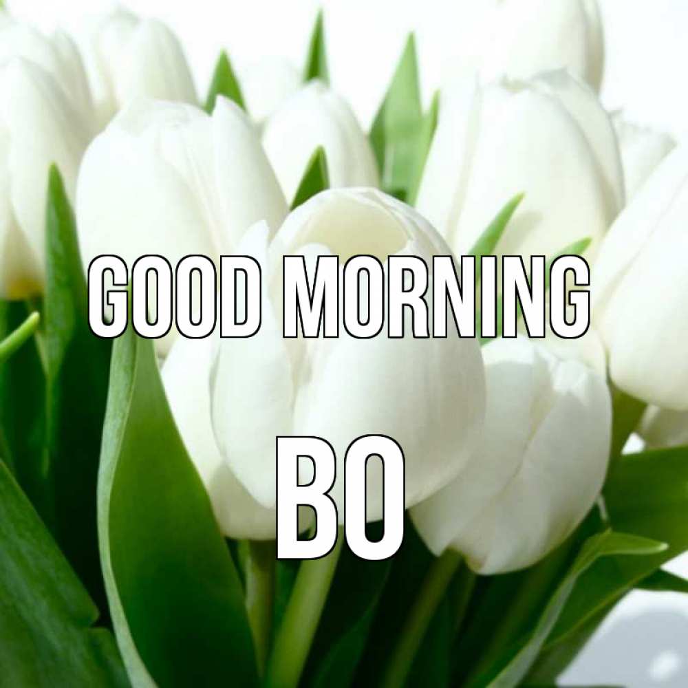 Greetings card с именем, Bo Good morning открытки на каждый день по именам Greetings with text for free download 