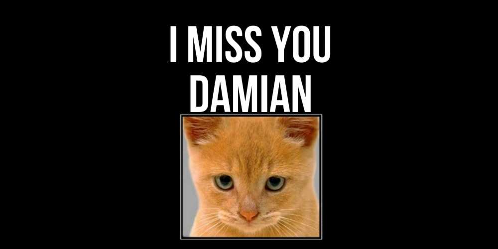 Greetings card с именем, Damian I miss you открытки рыжий котенок скучает по тебе Greetings with text for free download 