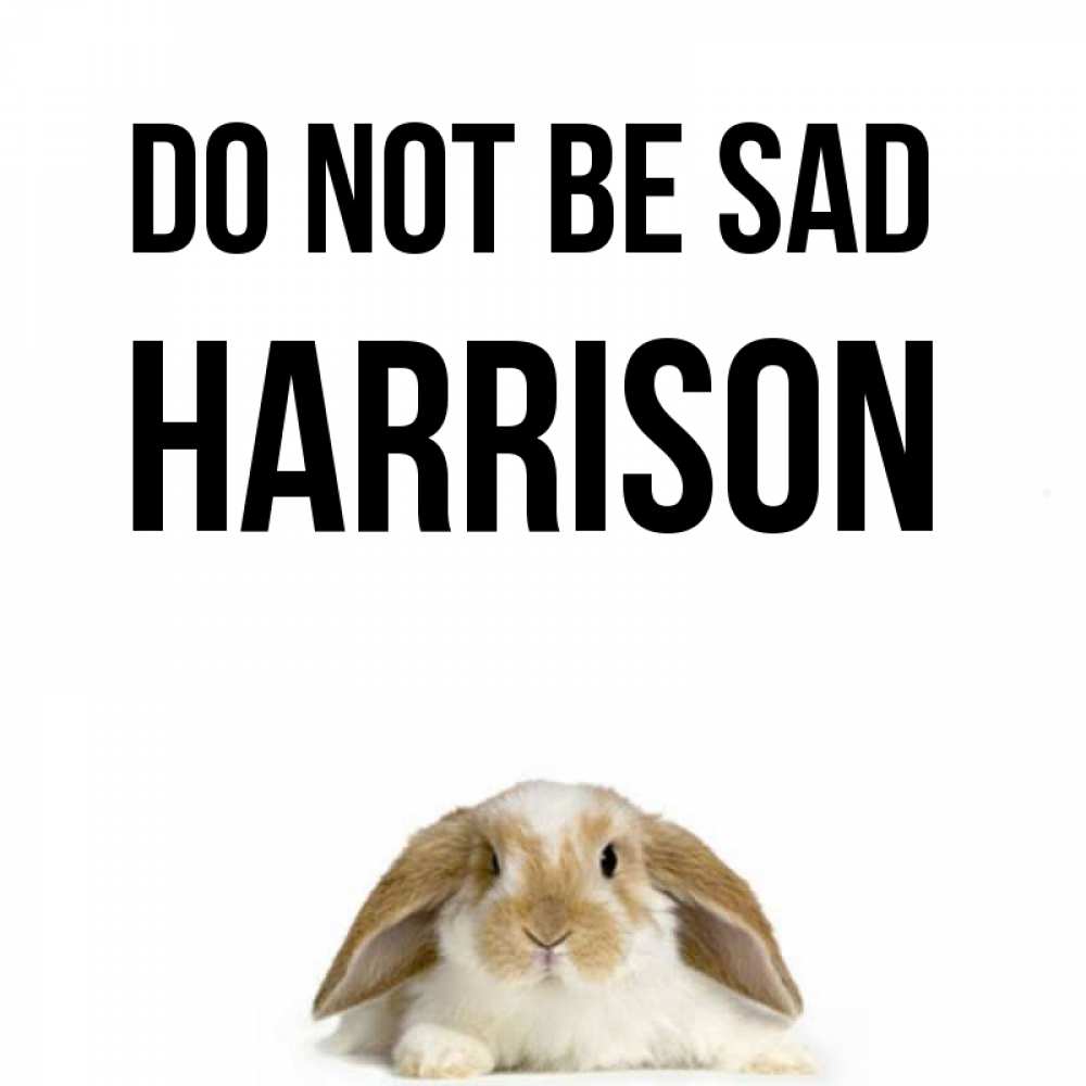 Greetings card с именем, Harrison Do not be sad коричнево белый заяц с большими ушками Greetings with text for free download 