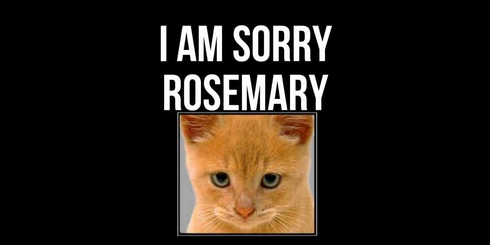 Greetings card с именем, Rosemary I am sorry рыжий грустный кот просит прощения Greetings with text for free download 
