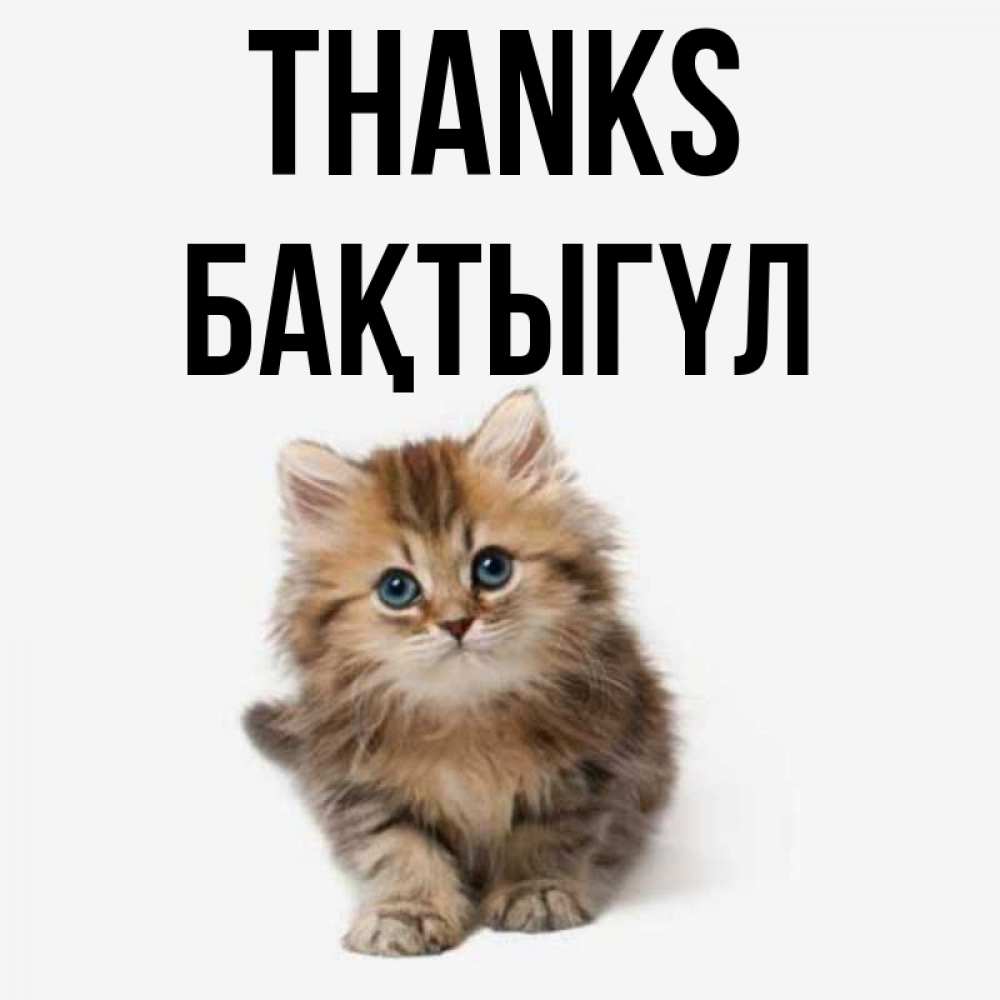 Greetings card с именем, БАҚТЫГҮЛ Thanks пушистый котик Greetings with text for free download 