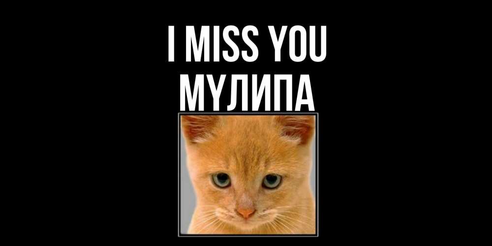 Greetings card с именем, МҮЛИПА I miss you открытки рыжий котенок скучает по тебе Greetings with text for free download 