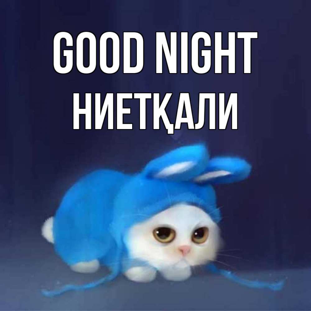 Greetings card с именем, НИЕТҚАЛИ Good night кот в голубом костюме кролика с ушками Greetings with text for free download 