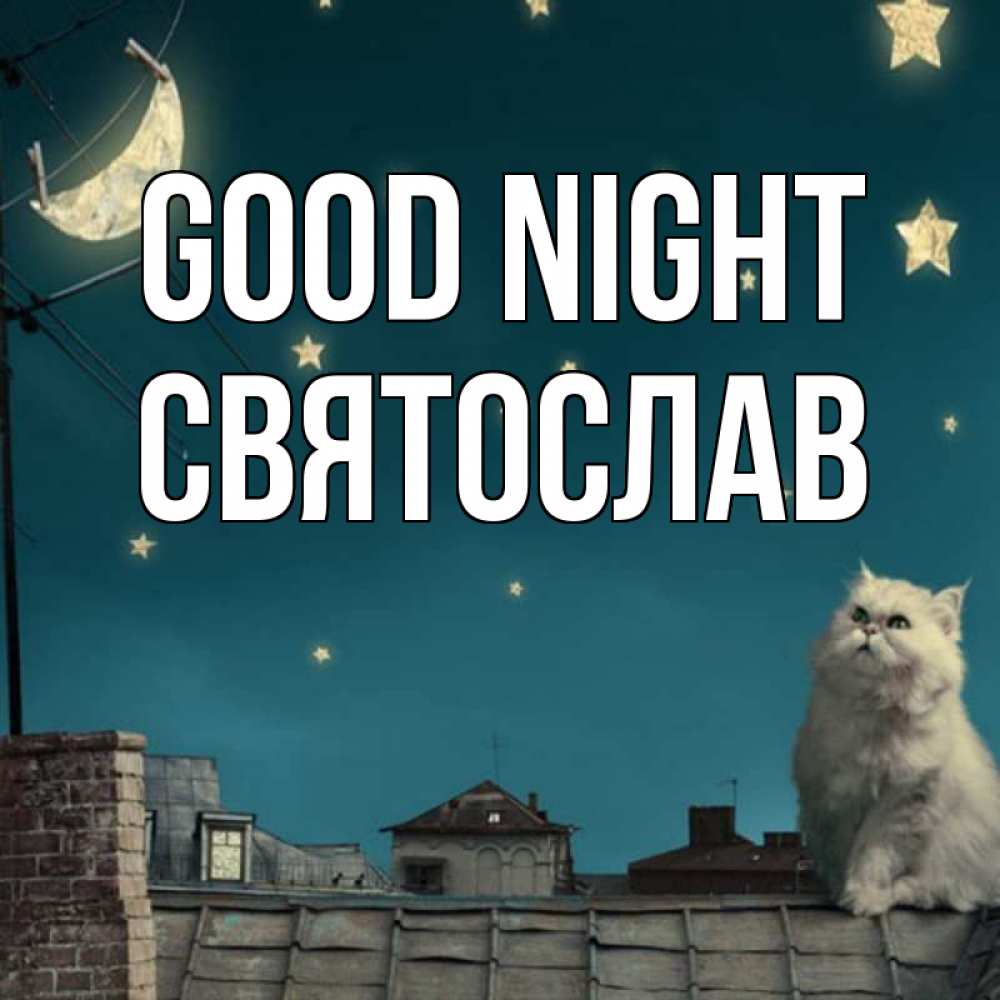 Greetings card с именем, Святослав Good night белый кот сидит на крыше Greetings with text for free download 