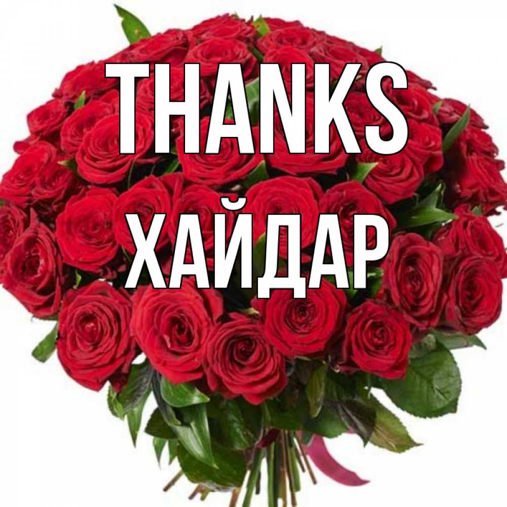 Greetings card с именем, ХАЙДАР Thanks букет красных роз Greetings with text for free download 