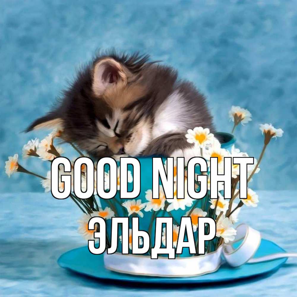 Greetings card с именем, Эльдар Good night котенок спит в кружке с блюдцем Greetings with text for free download 