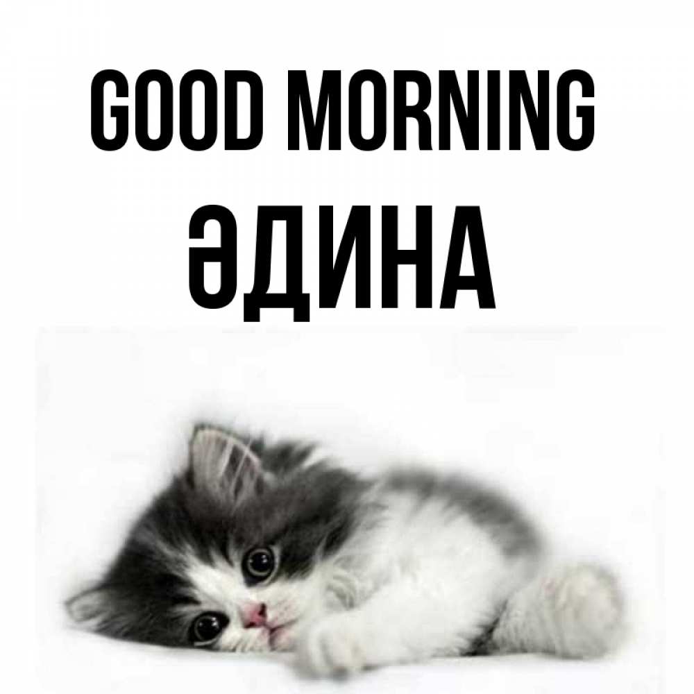 Greetings card с именем, ӘДИНА Good morning кот лапки Greetings with text for free download 