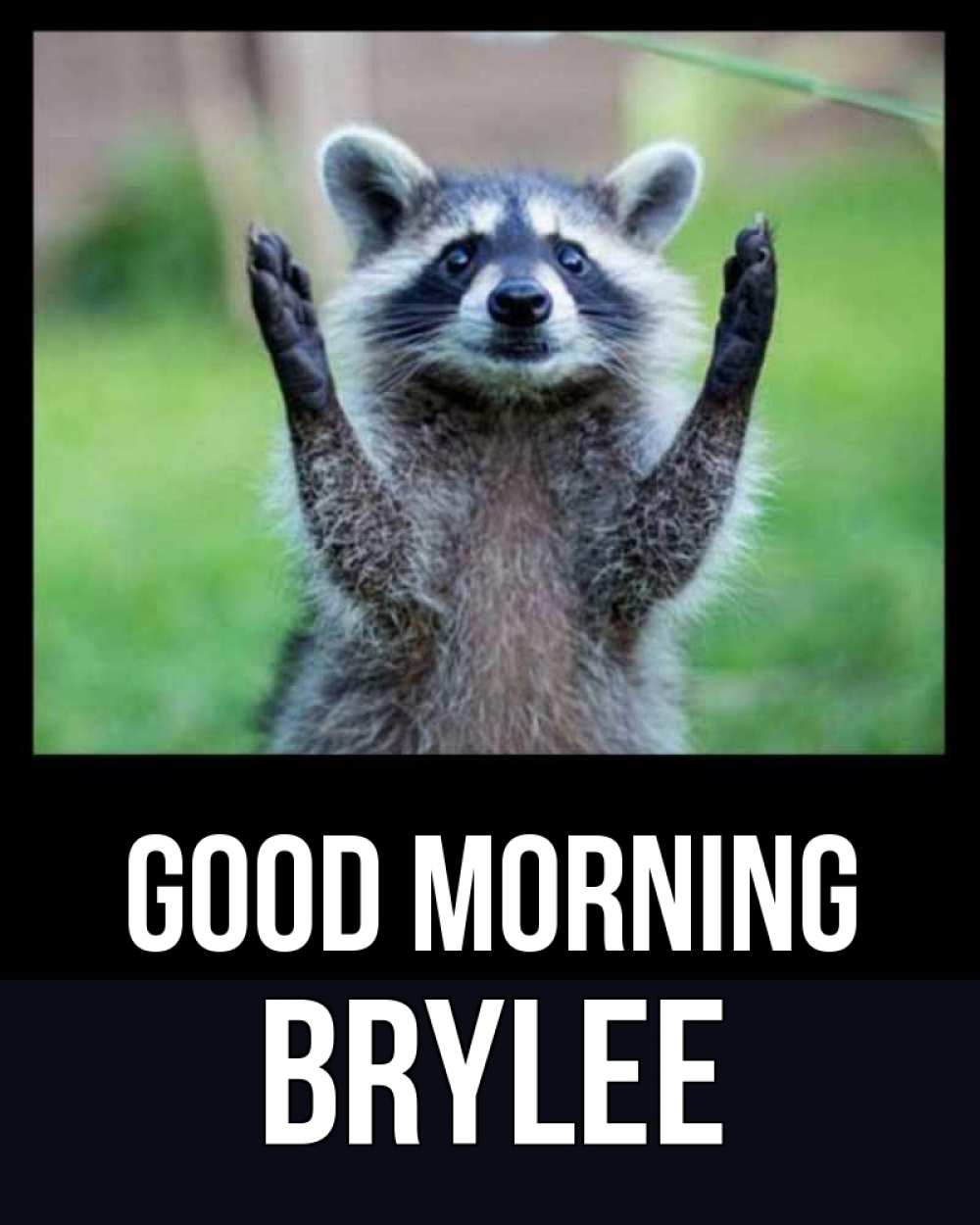 Greetings card с именем, Brylee Good morning хорошее настроение утречком Greetings with text for free download 