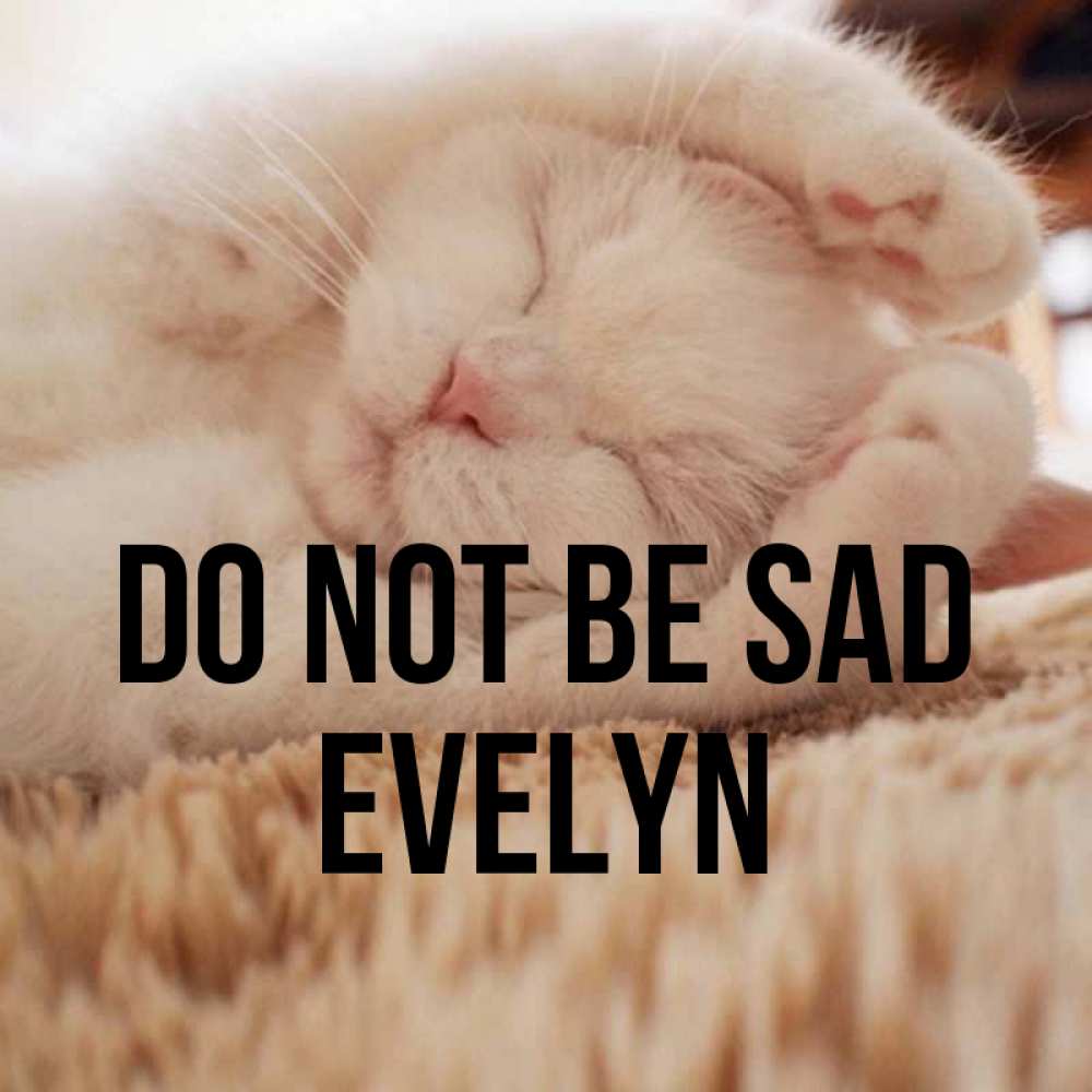 Greetings card с именем, Evelyn Do not be sad Котенок спит Greetings with text for free download 