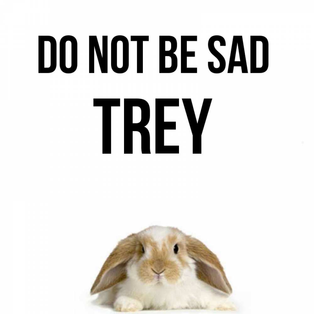Greetings card с именем, Trey Do not be sad коричнево белый заяц с большими ушками Greetings with text for free download 