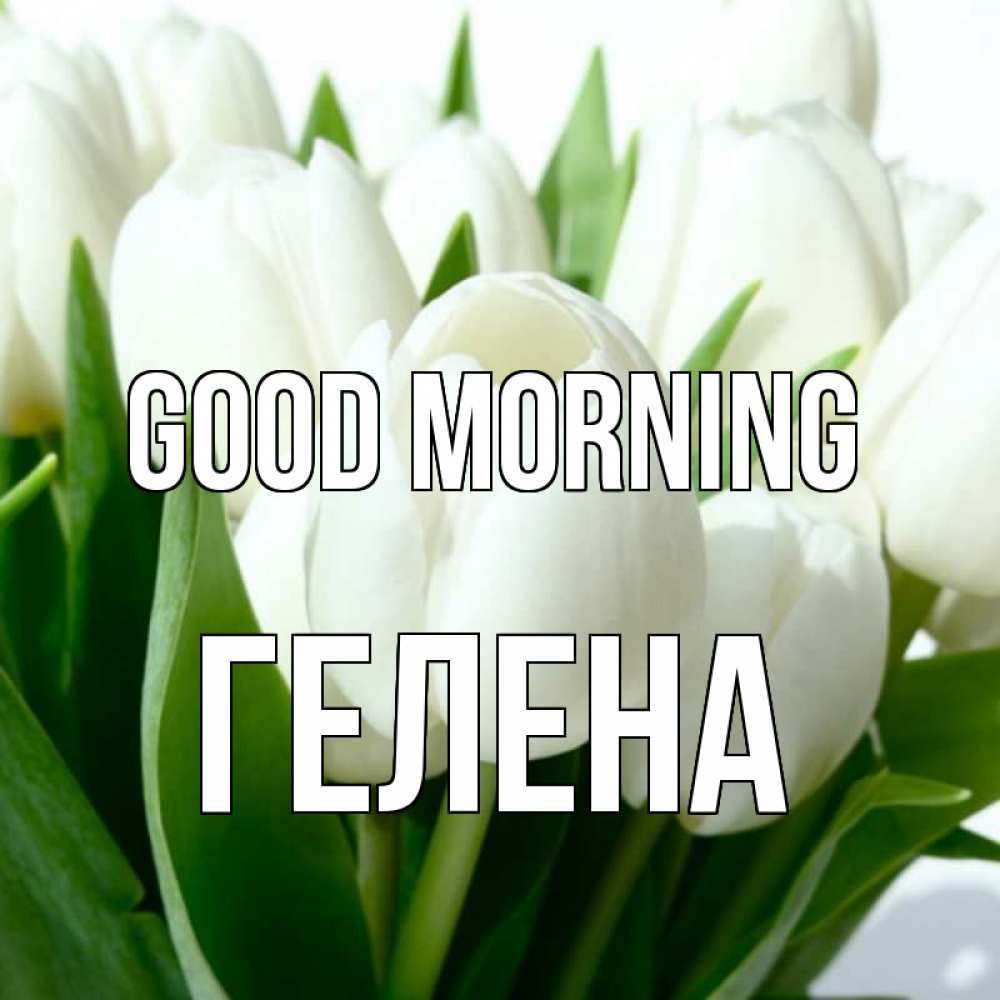 Greetings card с именем, Гелена Good morning открытки на каждый день по именам Greetings with text for free download 
