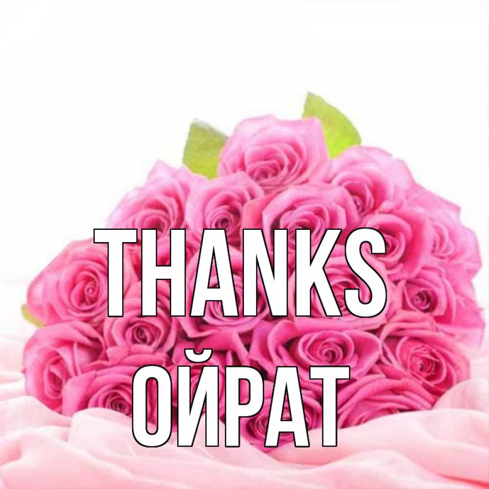 Greetings card с именем, ОЙРАТ Thanks розовые розы с подписью Greetings with text for free download 