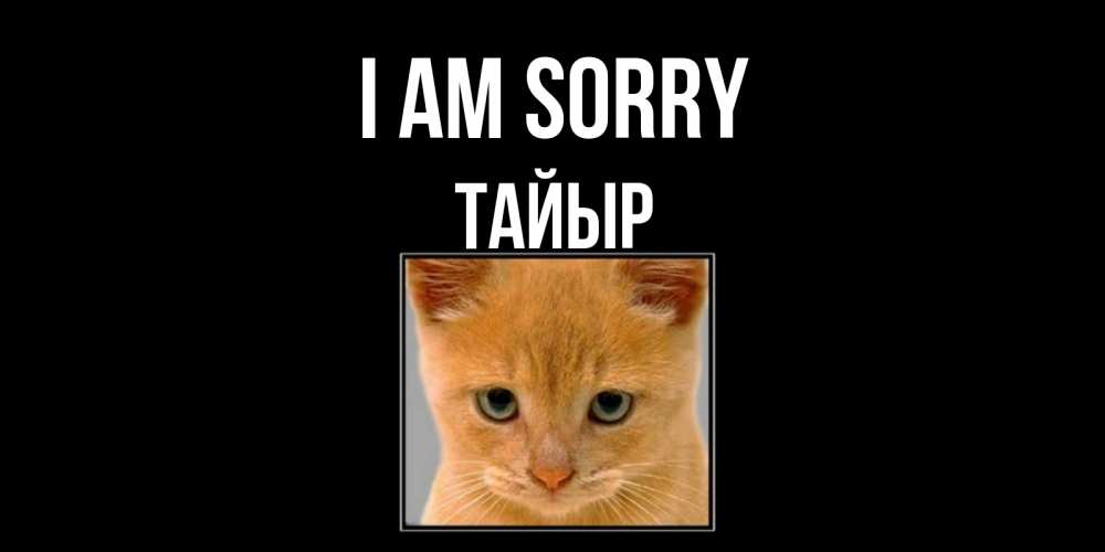 Greetings card с именем, ТАЙЫР I am sorry рыжий грустный кот просит прощения Greetings with text for free download 