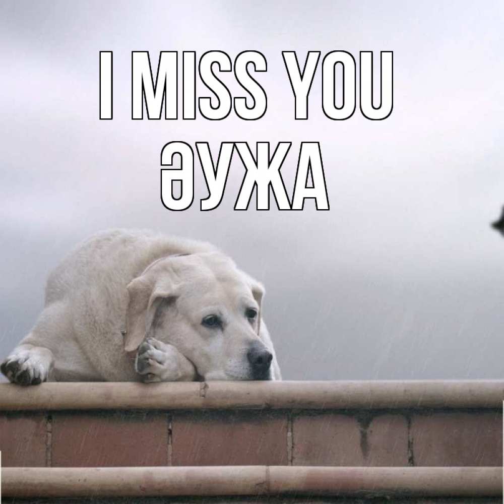 Greetings card с именем, ӘУЖА I miss you ждет Greetings with text for free download 