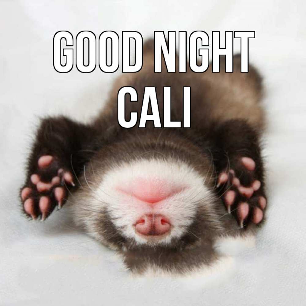 Greetings card с именем, Cali Good night зверек Greetings with text for free download 
