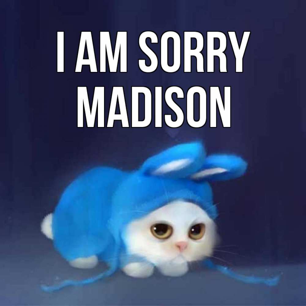 Greetings card с именем, Madison I am sorry невинный котозай просит прощения Greetings with text for free download 