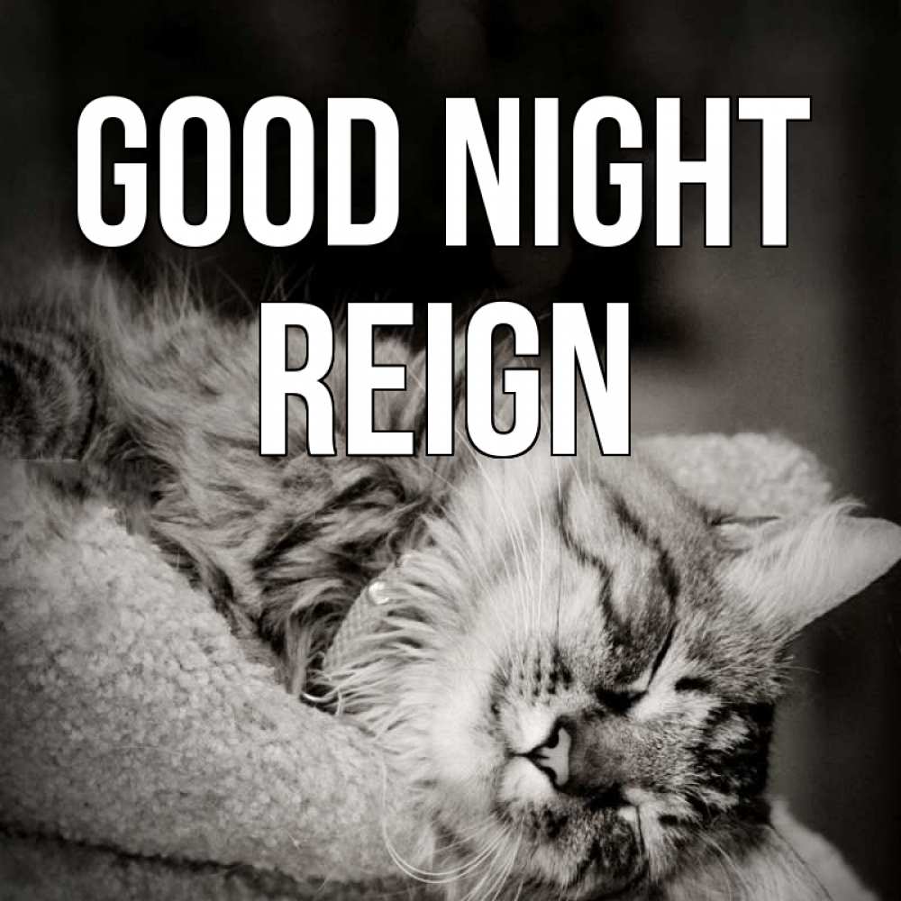 Greetings card с именем, Reign Good night котярик пушистый Greetings with text for free download 