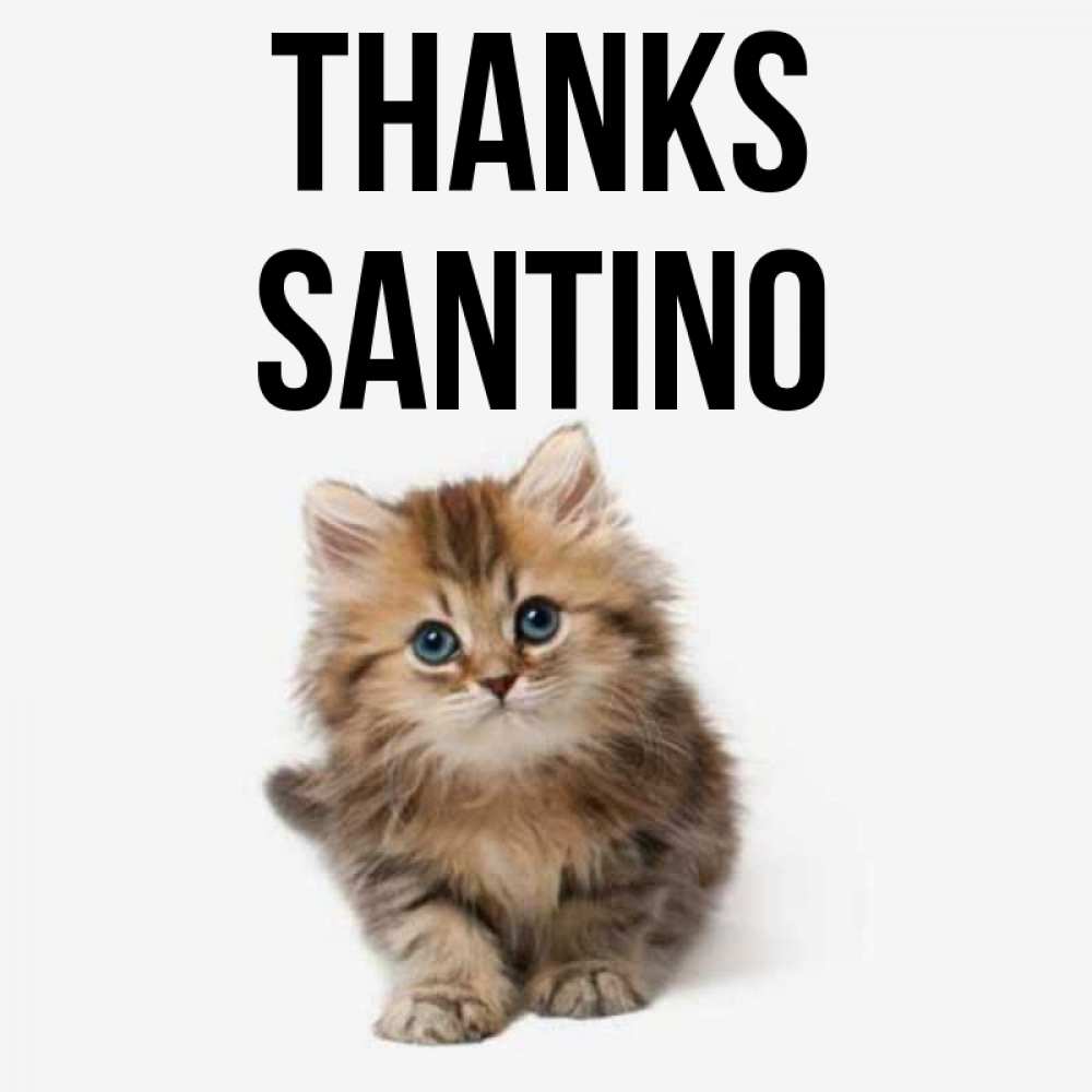 Greetings card с именем, Santino Thanks пушистый котик Greetings with text for free download 