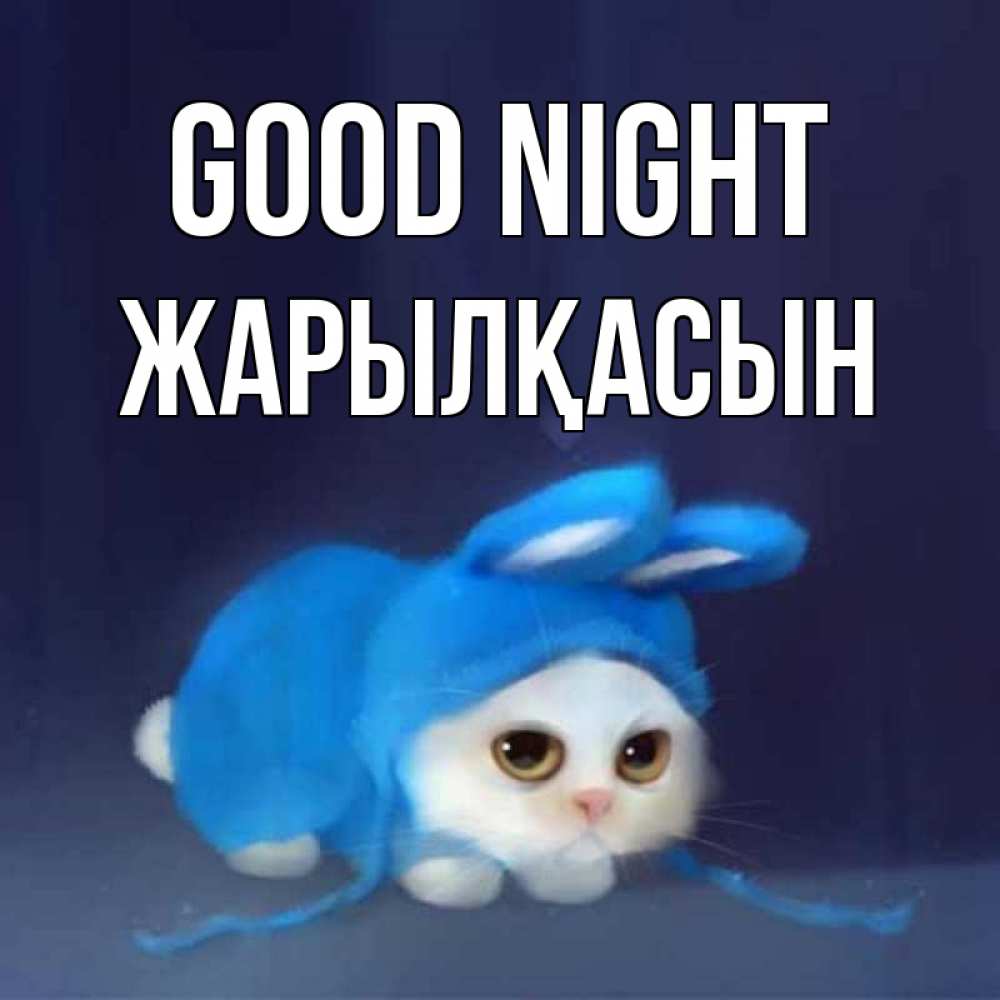 Greetings card с именем, Жарылқасын Good night кот в голубом костюме кролика с ушками Greetings with text for free download 