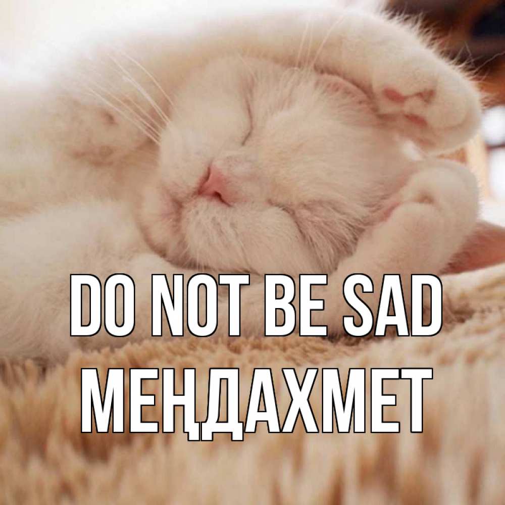 Greetings card с именем, МЕҢДАХМЕТ Do not be sad белый кот Greetings with text for free download 