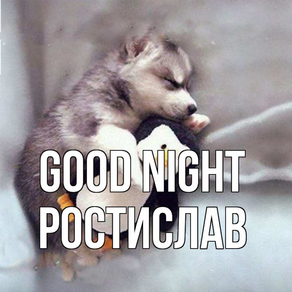 Greetings card с именем, Ростислав Good night обнимашки щенка и пингвина Greetings with text for free download 