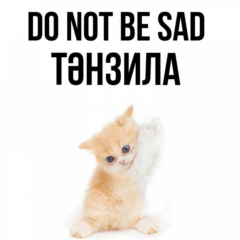 Greetings card с именем, ТӘНЗИЛА Do not be sad просящий кот Greetings with text for free download 
