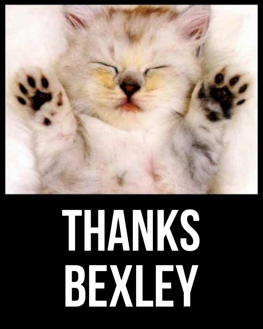 Greetings card с именем, Bexley Thanks маленький котенок Greetings with text for free download 
