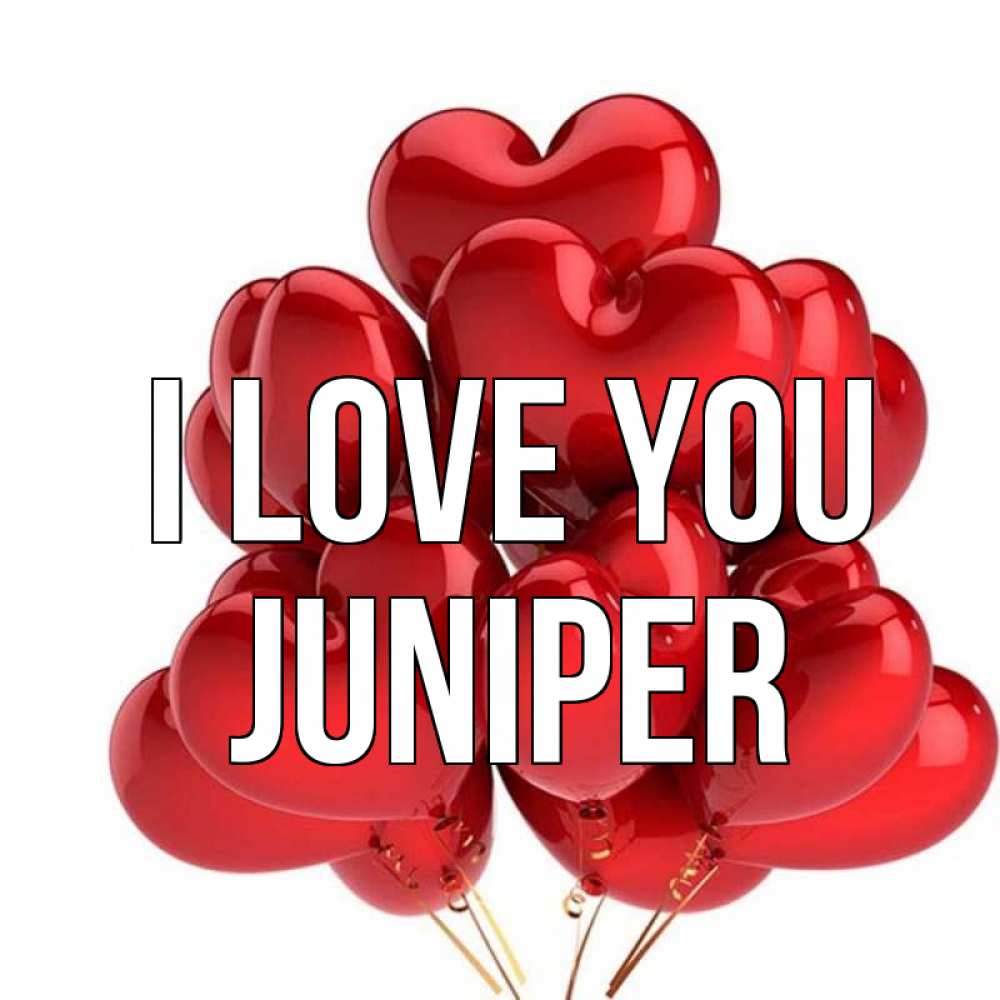 Greetings card с именем, Juniper I love you бордовые шары Greetings with text for free download 
