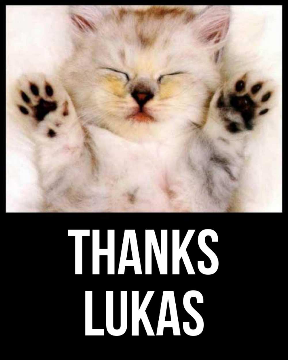 Greetings card с именем, Lukas Thanks маленький котенок Greetings with text for free download 