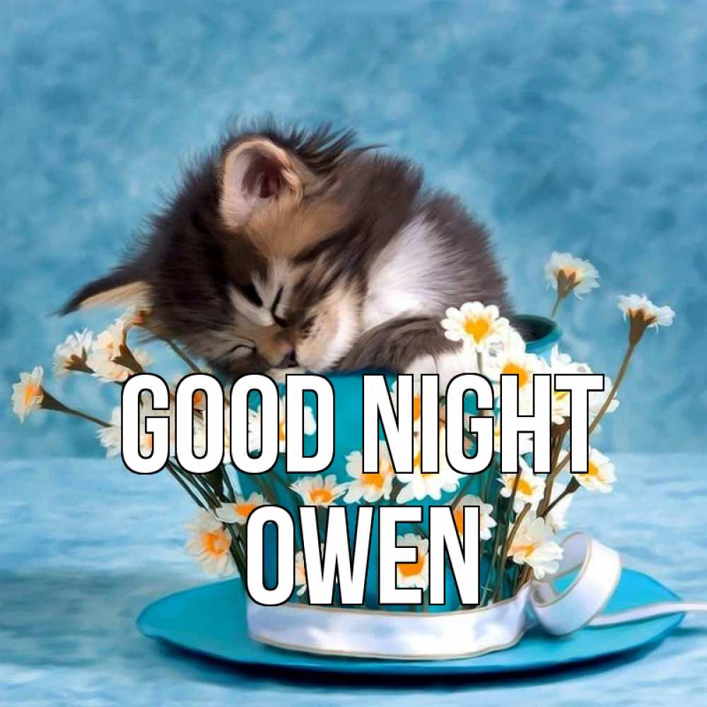 Greetings card с именем, Owen Good night котенок спит в кружке с блюдцем Greetings with text for free download 