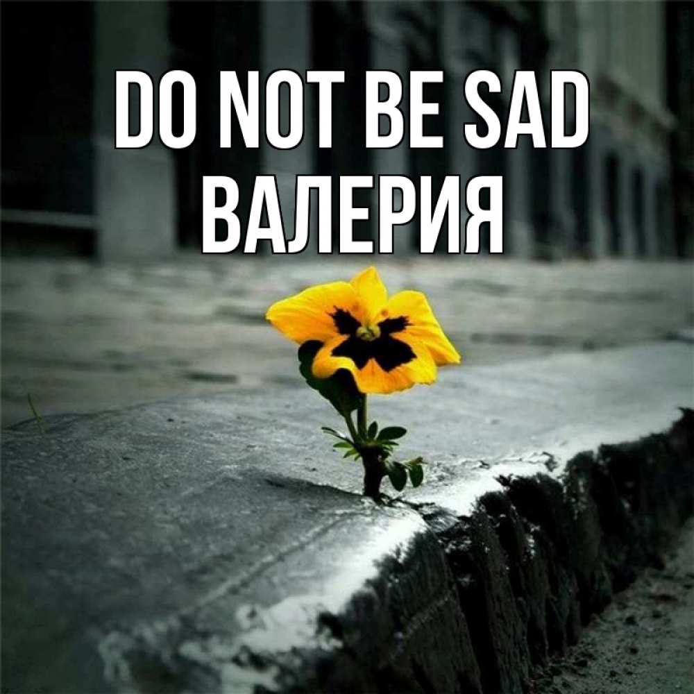 Greetings card с именем, Валерия Do not be sad не сдавайся Greetings with text for free download 