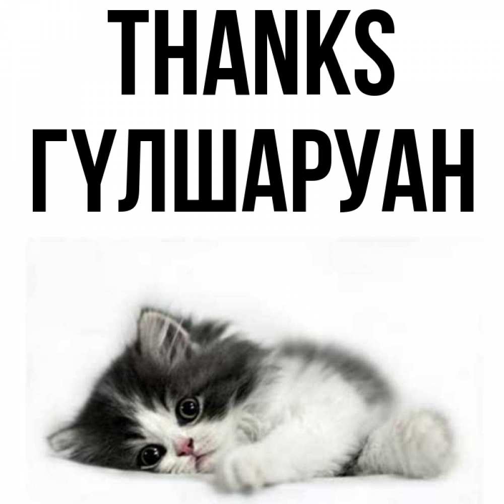 Greetings card с именем, ГҮЛШАРУАН Thanks черный и белый кот Greetings with text for free download 