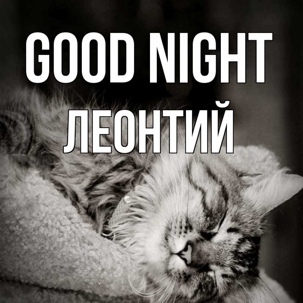 Greetings card с именем, Леонтий Good night котярик пушистый Greetings with text for free download 
