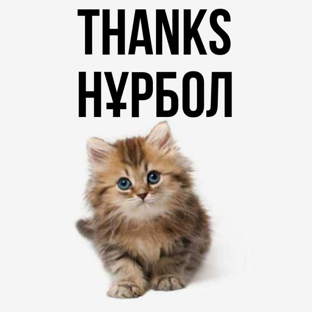 Greetings card с именем, НҰРБОЛ Thanks пушистый котик Greetings with text for free download 