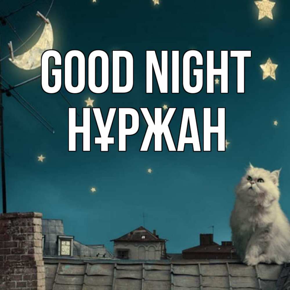 Greetings card с именем, НҰРЖАН Good night белый кот сидит на крыше Greetings with text for free download 