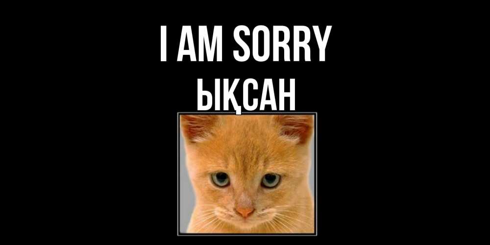 Greetings card с именем, ЫҚСАН I am sorry рыжий грустный кот просит прощения Greetings with text for free download 