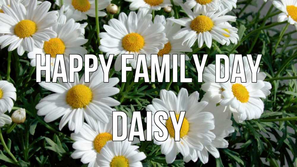 Greetings card с именем, Daisy happy family day с днем семьи Greetings with text for free download 
