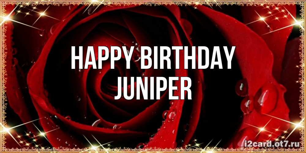 Greetings card с именем, Juniper Happy Birthday цветок в росе на день рождения Greetings with text for free download 