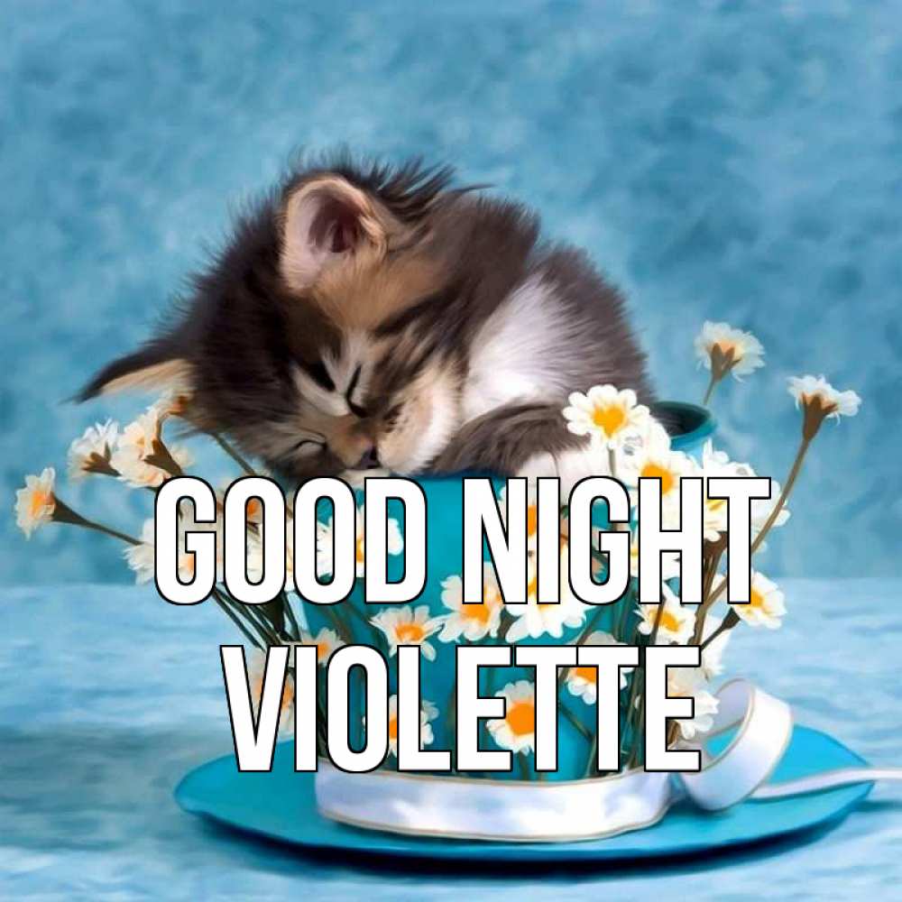 Greetings card с именем, Violette Good night котенок спит в кружке с блюдцем Greetings with text for free download 