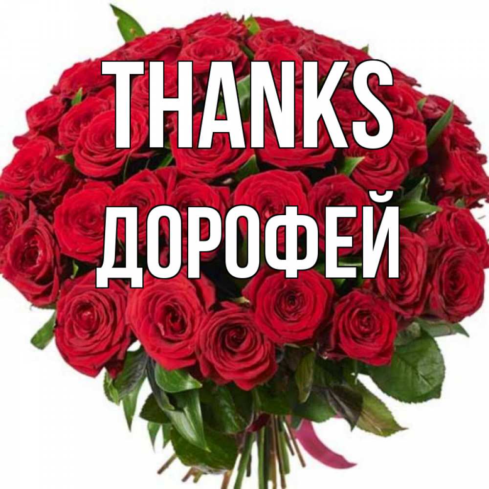 Greetings card с именем, Дорофей Thanks букет красных роз Greetings with text for free download 