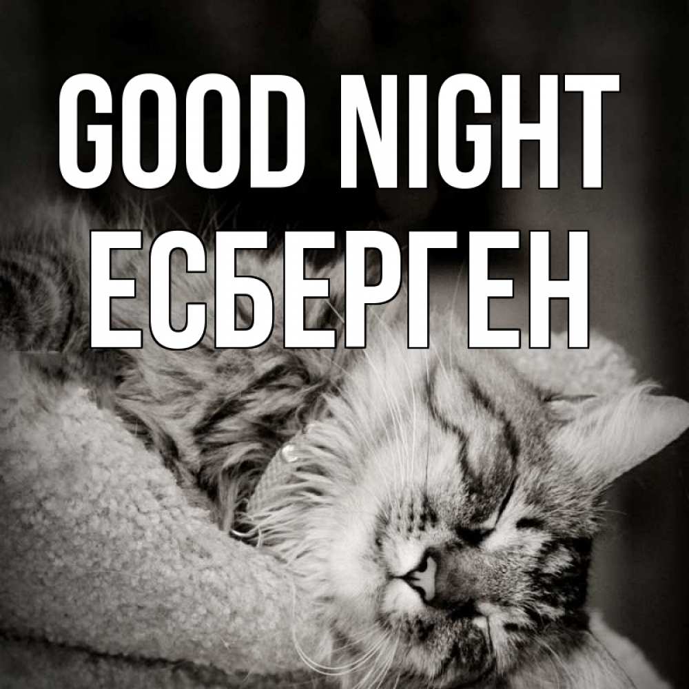 Greetings card с именем, Есберген Good night котярик пушистый Greetings with text for free download 