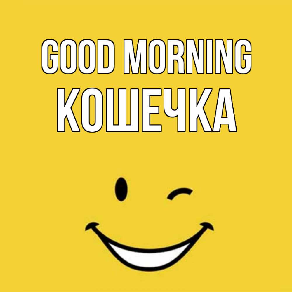 Greetings card с именем, Кошечка Good morning оранжевый фон Greetings with text for free download 