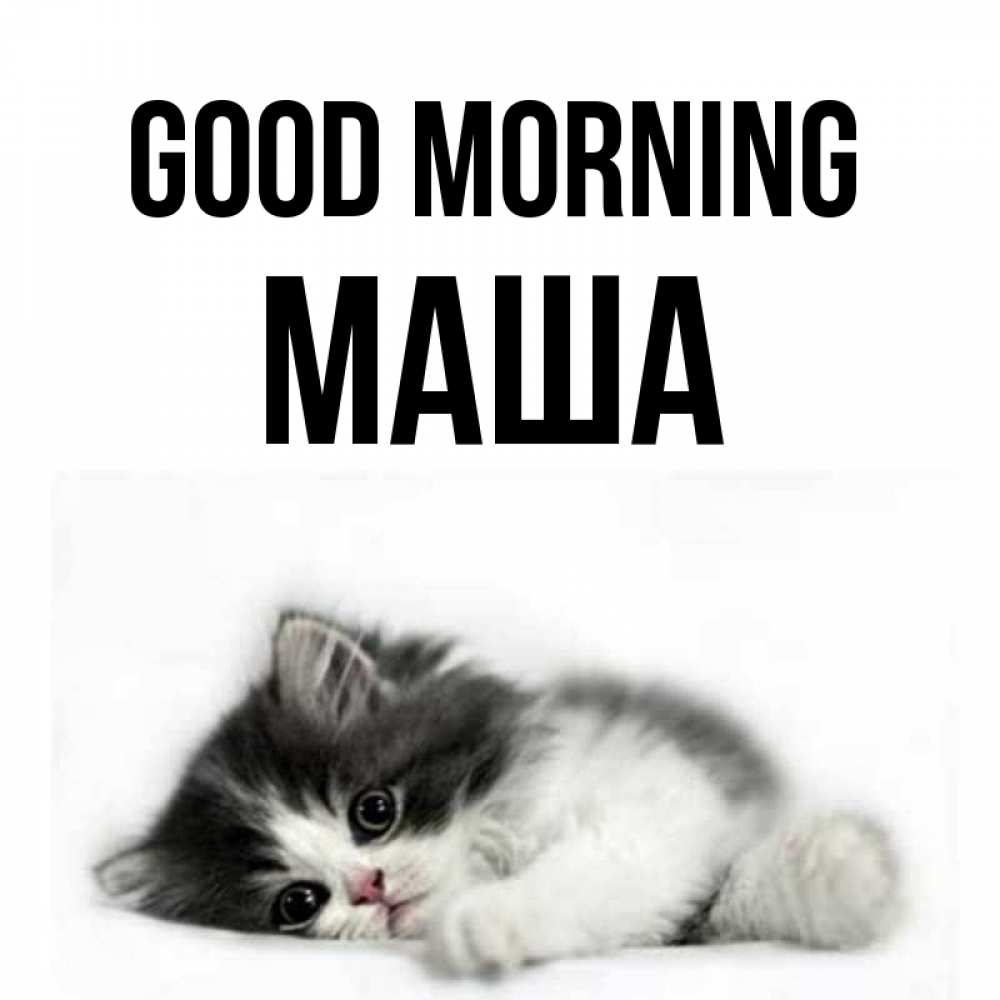 Greetings card с именем, Маша Good morning кот лапки Greetings with text for free download 