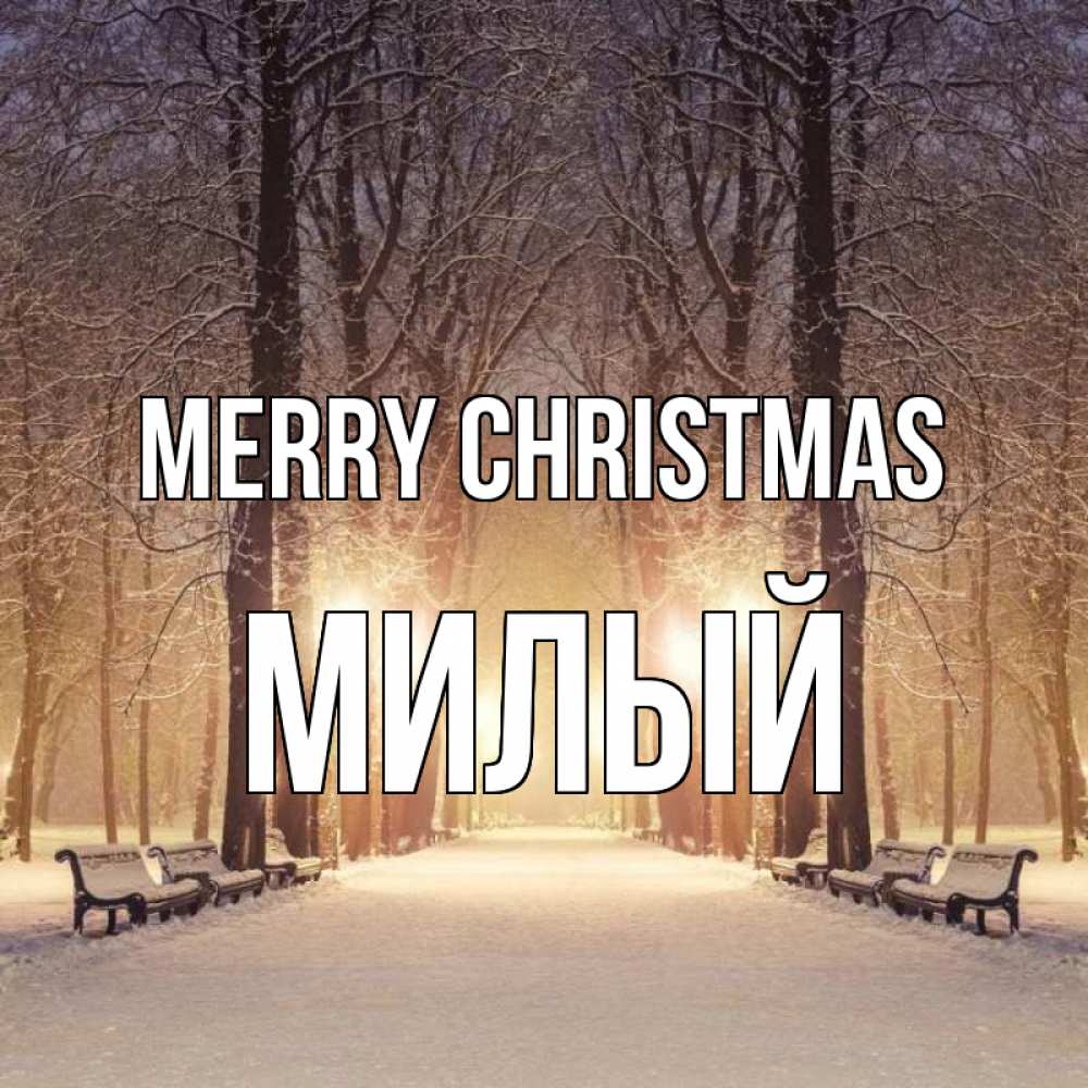Greetings card с именем, Милый Merry Christmas зима, парк, фонарь, лес Greetings with text for free download 