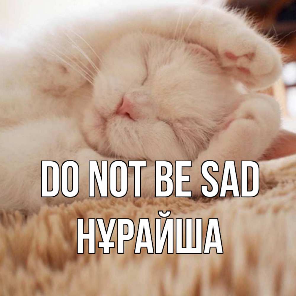 Greetings card с именем, НҰРАЙША Do not be sad белый кот Greetings with text for free download 