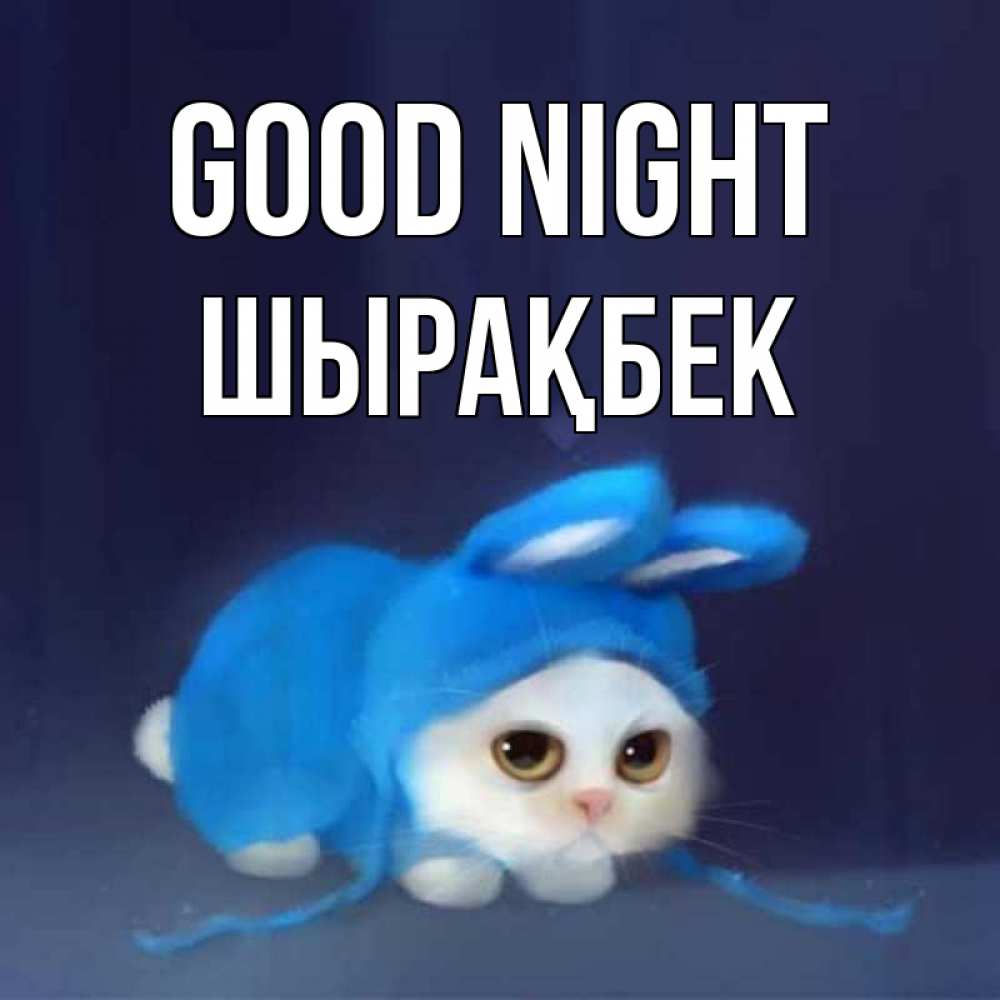 Greetings card с именем, ШЫРАҚБЕК Good night кот в голубом костюме кролика с ушками Greetings with text for free download 