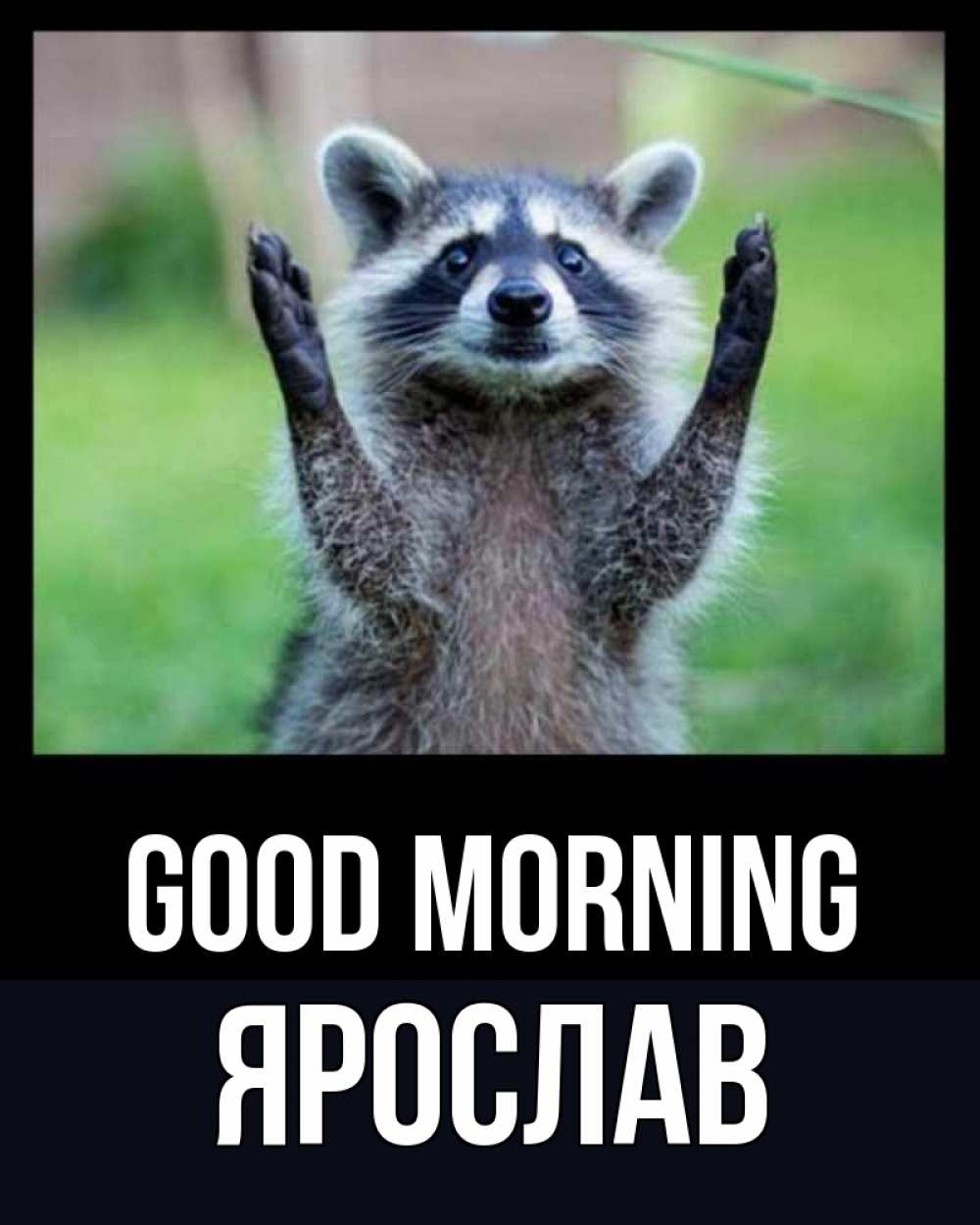 Greetings card с именем, Ярослав Good morning хорошее настроение утречком Greetings with text for free download 