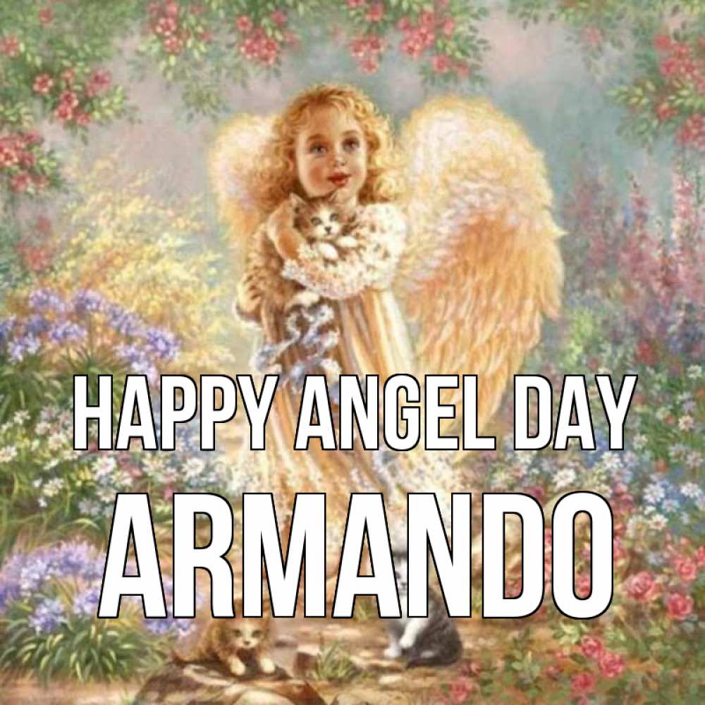 Greetings card с именем, Armando happy angel day держит котенка Greetings with text for free download 