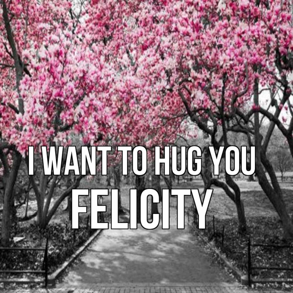Greetings card с именем, Felicity I want to hug you обработанное фото Greetings with text for free download 