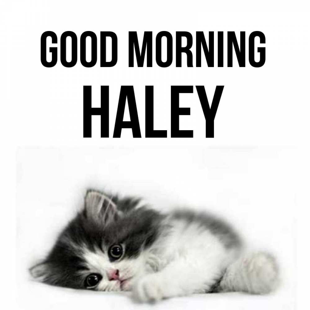 Greetings card с именем, Haley Good morning кот лапки Greetings with text for free download 